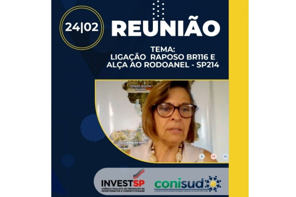 CONISUD E INVESTSP SE REUNEM EM V&Iacute;DEOCONFER&Ecirc;NCIA.