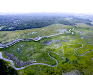 EMBU GUA&Ccedil;U