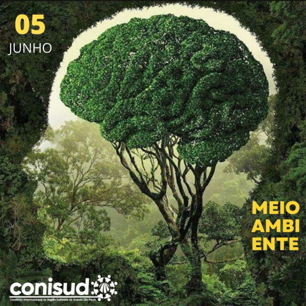 DIA DO MEIO AMBIENTE!